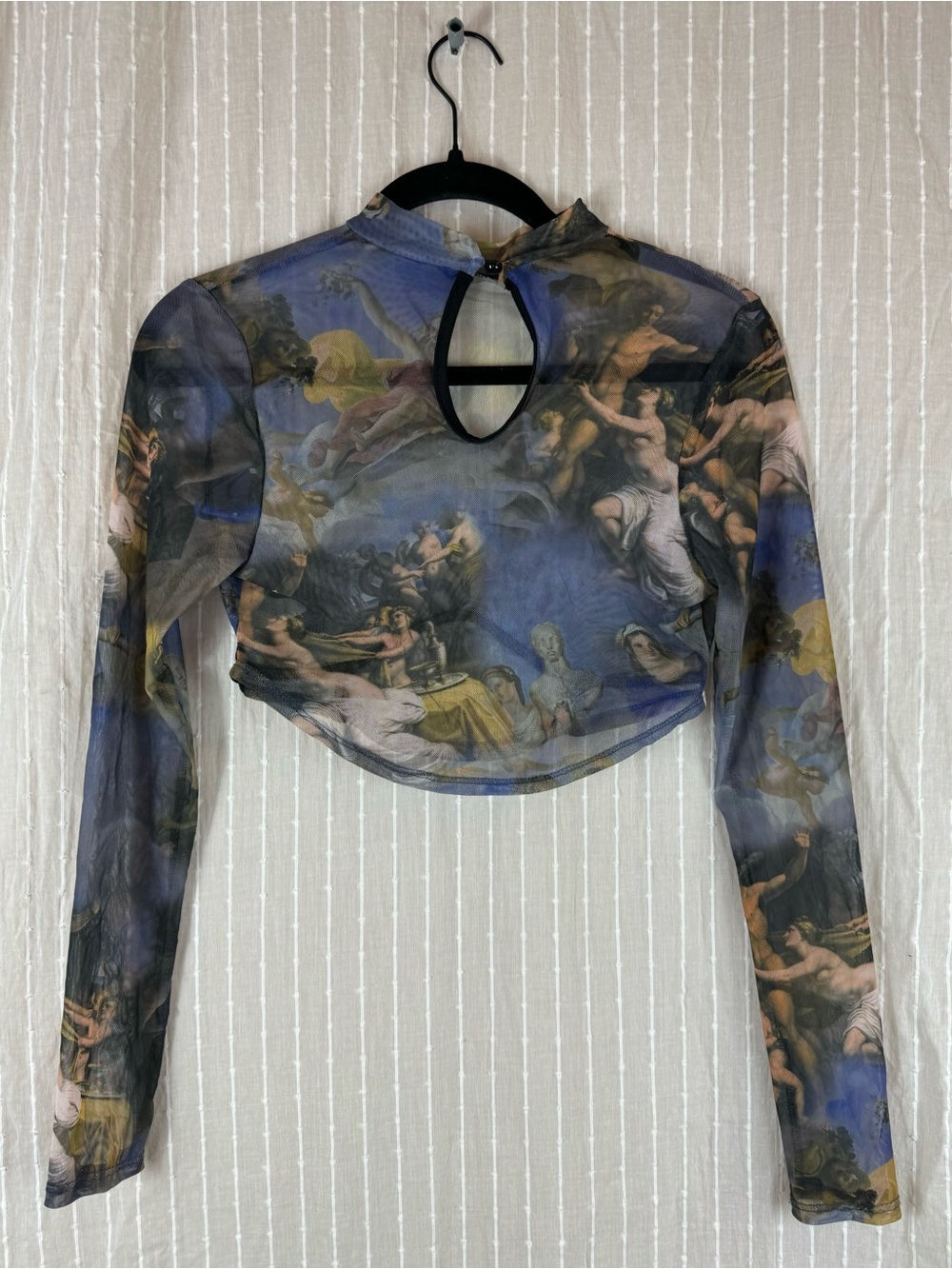 Fashion Nova Renaissance Print Sheer Crop-Top in Size Medium - Picture 4 of 13
